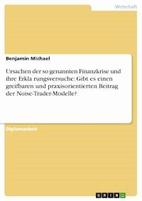 Ursachen der so genannten Finanzkrise und ihre Erklärungsversuche: Gibt es einen greifbaren und praxisorientierten Beitrag der Noise-Trader-Modelle? - Benjamin Michael - E-Book