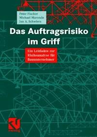 Das Auftragsrisiko im Griff - Peter Fischer - E-Book