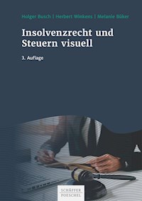 Insolvenzrecht und Steuern visuell - Holger Busch - E-Book
