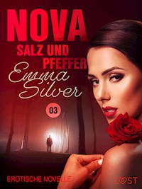 Nova 3 - Salz und Pfeffer: Erotische Novelle - Emma Silver - E-Book