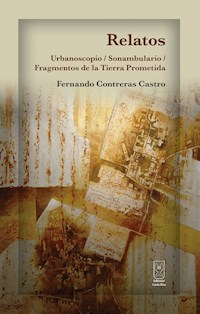 Relatos - Fernando Castro Contreras - E-Book