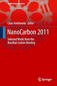 NanoCarbon 2011 -  - E-Book