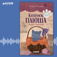 Котенок Плюша ищет семью - Елена Ульева - Hörbuch