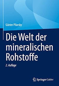 Die Welt der mineralischen Rohstoffe - Günter Pilarsky - E-Book