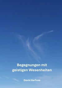Begegnungen mit geistigen Wesenheiten - David Barfuss - E-Book