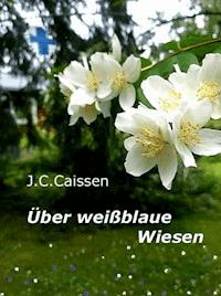 Über weißblaue Wiesen - J.C. Caissen - E-Book