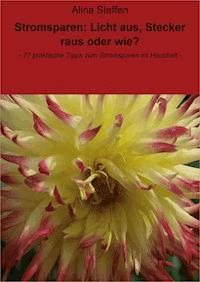 Stromsparen: Licht aus, Stecker raus oder wie? - Alina Steffen - E-Book
