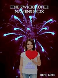 Eine Zwickmühle namens Felix - René Bote - kostenlos E-Book
