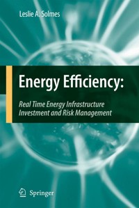Energy Efficiency - Leslie A. Solmes - E-Book