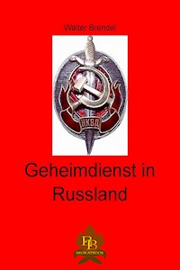 Geheimdienst in Russland - Walter Brendel - E-Book