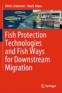 Fish Protection Technologies and Fish Ways for Downstream Migration - Ulrich Schwevers - E-Book
