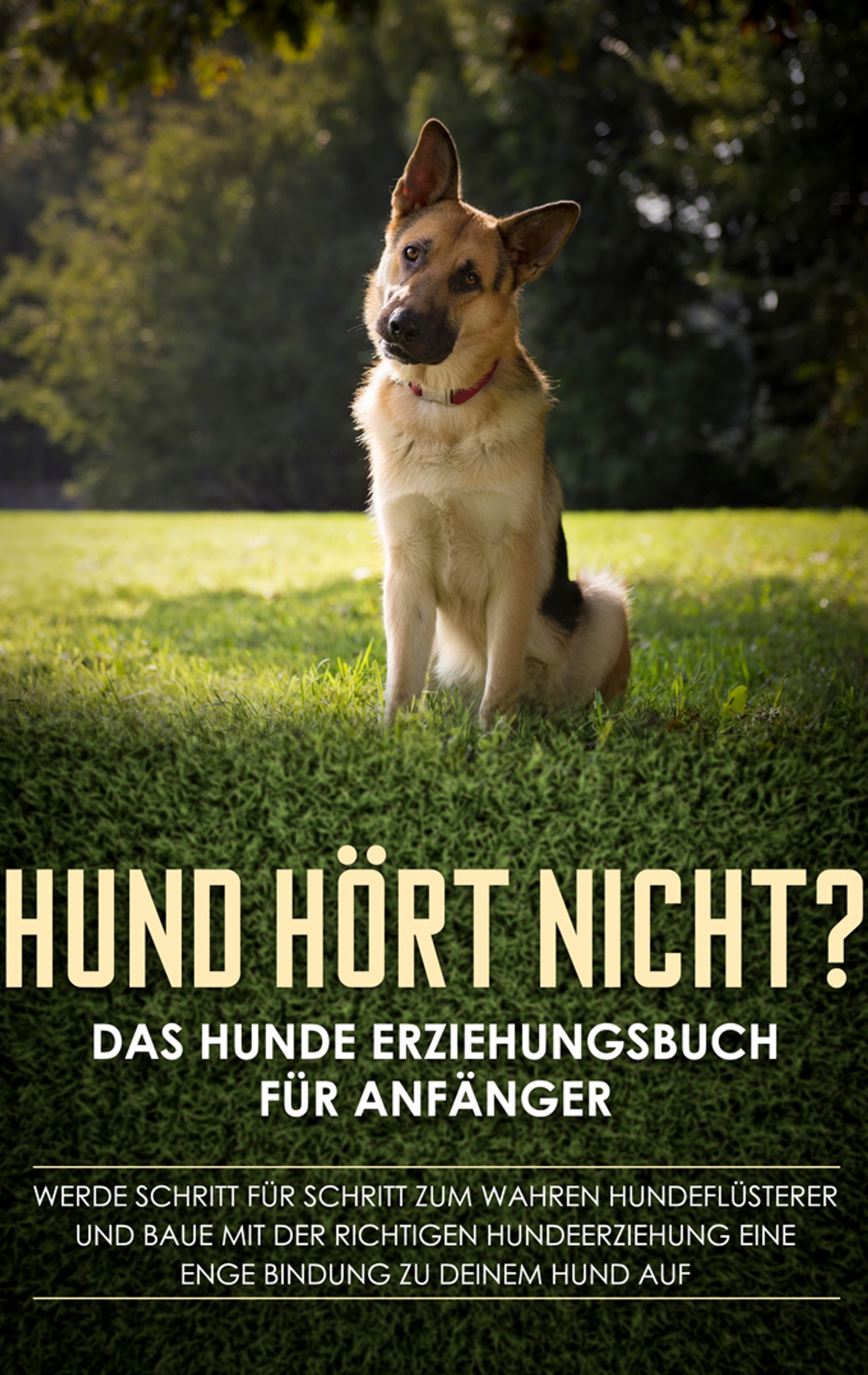 Hund hört nicht? Das Hunde Erziehungsbuch für Anfänger: Werde Schritt für Schritt zum wahren Hundeflüsterer und baue mit der richtigen Hundeerziehung eine enge Bindung zu deinem Hund auf - Frauke Groenewold - E-Book