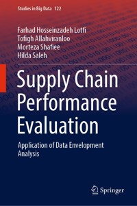 Supply Chain Performance Evaluation - Farhad Hosseinzadeh Lotfi - E-Book
