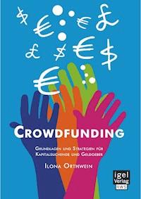 Crowdfunding: Grundlagen und Strategien für Kapitalsuchende und Geldgeber - Ilona Orthwein - E-Book
