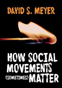 How Social Movements (Sometimes) Matter - David S. Meyer - E-Book