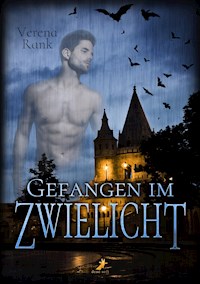 Gefangen im Zwielicht - Verena Rank - E-Book