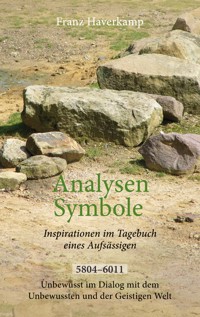 Analysen - Symbole 5804-6011 - Franz Haverkamp - E-Book