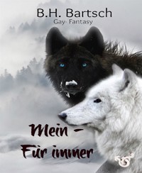 Mein - Für immer - B. H. Bartsch - E-Book