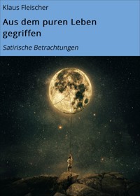 Aus dem puren Leben gegriffen - Klaus Fleischer - E-Book