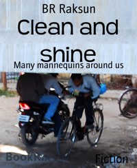 Clean and shine - BR Raksun - E-Book