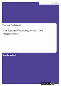 Was leisten Pflegediagnosen? - Der Pflegeprozess - Florian Fischbock - E-Book