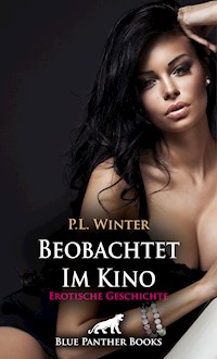 Beobachtet - Im Kino | Erotische Geschichte - P.L. Winter - E-Book