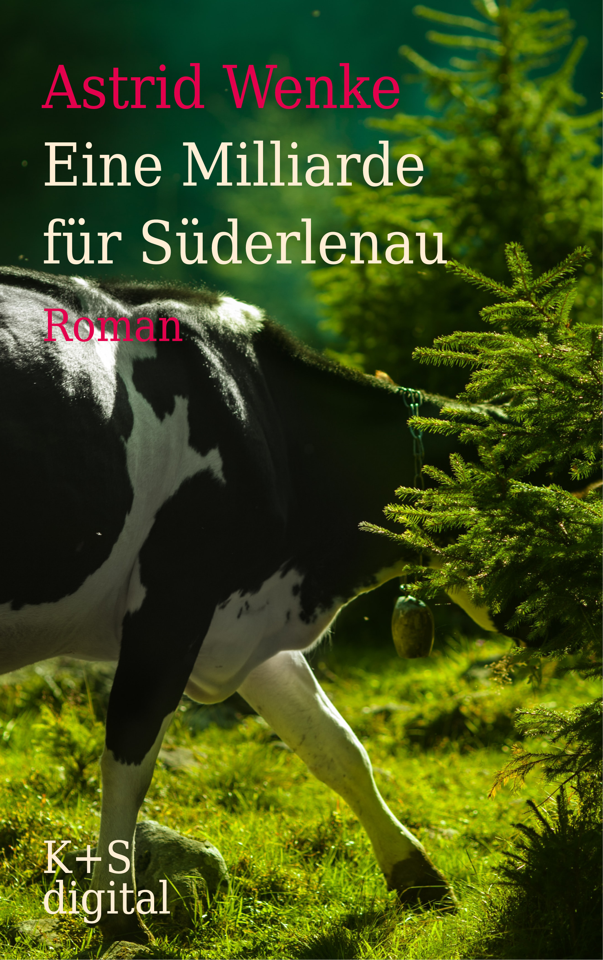 Eine Milliarde für Süderlenau - Astrid Wenke - E-Book