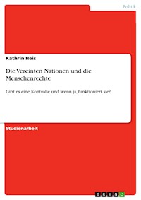 Die Vereinten Nationen und die Menschenrechte - Kathrin Heis - E-Book