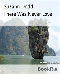 There Was Never Love - Suzann Dodd - E-Book