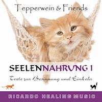 Seelennahrung 1: Texte zur Besinnung und Einkehr (Tepperwein and Friends) -  - Hörbuch
