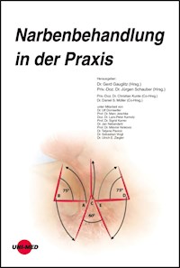 Narbenbehandlung in der Praxis - Gerd Gauglitz - E-Book