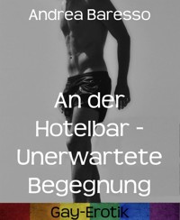 An der Hotelbar - Unerwartete Begegnung - Andrea Baresso - E-Book