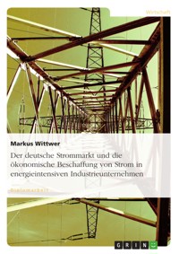 Der deutsche Strommarkt und die ökonomische Beschaffung von Strom in energieintensiven Industrieunternehmen - Markus Wittwer - E-Book