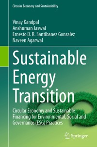 Sustainable Energy Transition - Vinay Kandpal - E-Book