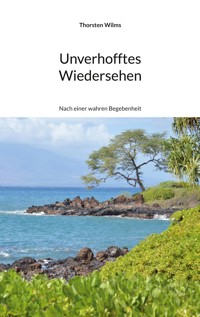 Unverhofftes Wiedersehen - Thorsten Wilms - E-Book