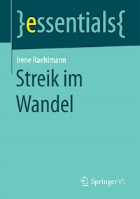 Streik im Wandel - Irene Raehlmann - E-Book