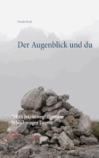 Der Augenblick und du - Ursula Koch - E-Book