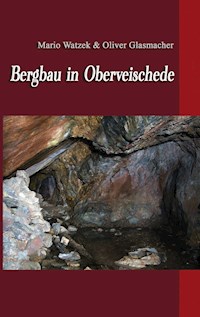 Bergbau in Oberveischede - Mario Watzek - E-Book