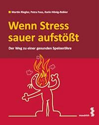 Wenn Stress sauer aufstößt - Martin Riegler - E-Book