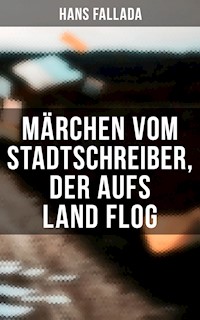 Märchen vom Stadtschreiber, der aufs Land flog - Hans Fallada - E-Book