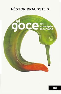 El Goce - Néstor A. Braunstein - E-Book