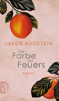 Die Farbe des Feuers - Jakob Augstein - E-Book
