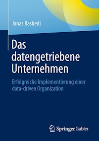 Das datengetriebene Unternehmen - Jonas Rashedi - E-Book