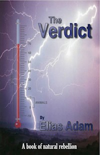 The Verdict - Elias Adam - E-Book