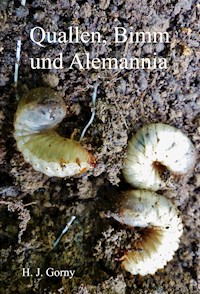Quallen, Bimm und Alemannia - Ha-Jo Gorny - E-Book