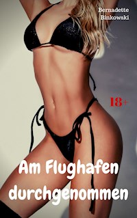 Am Flughafen durchgenommen - Bernadette Binkowski - E-Book
