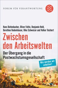 Zwischen den Arbeitswelten - Hans Diefenbacher - E-Book