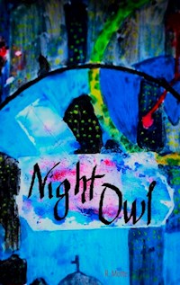 Night Owl - R. Motte - E-Book
