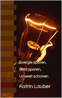 Energie sparen, Geld sparen, Umwelt schonen - Katrin Lauber - E-Book
