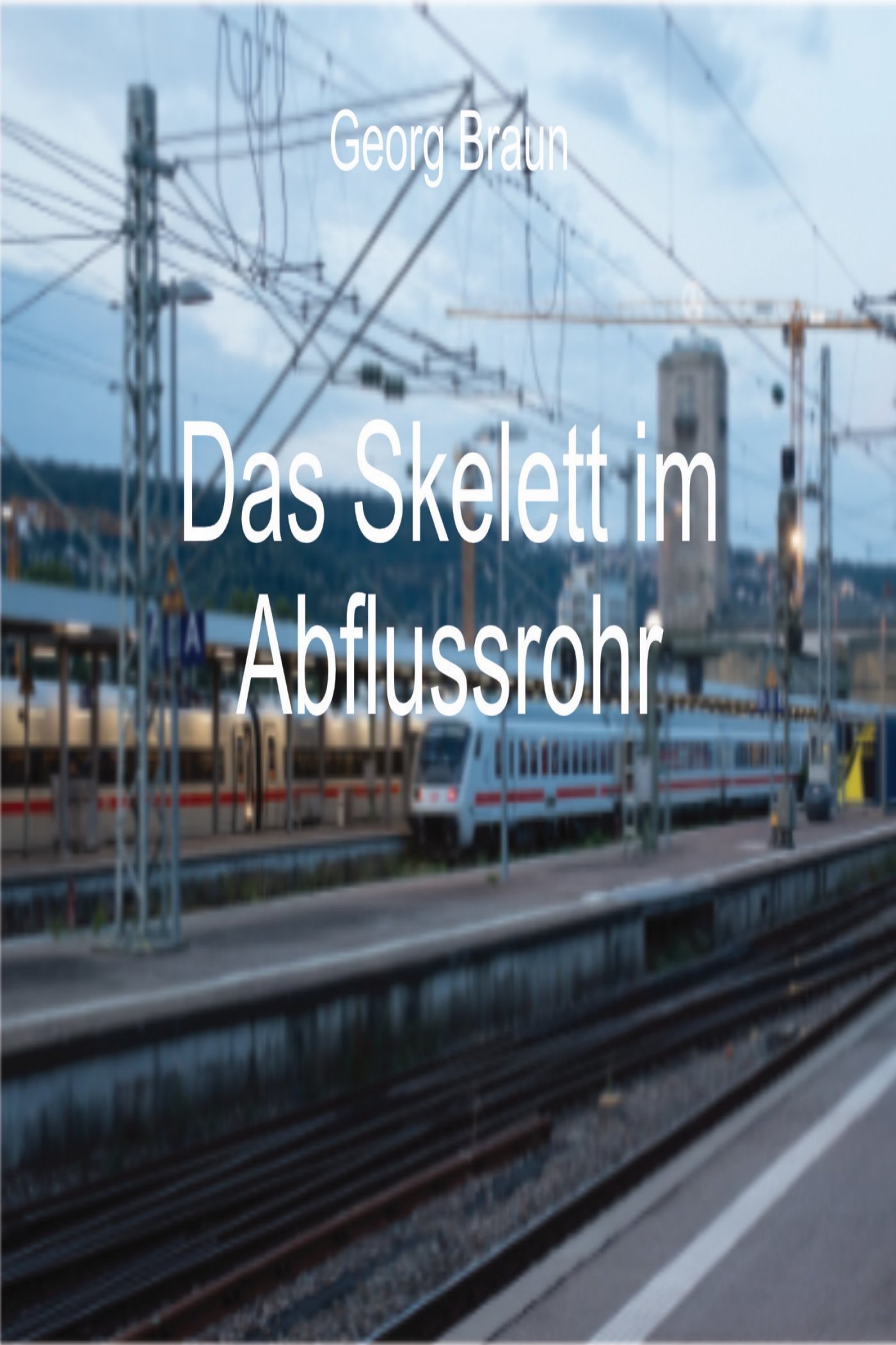 Das Skelett im Abflussrohr - Georg Braun - E-Book
